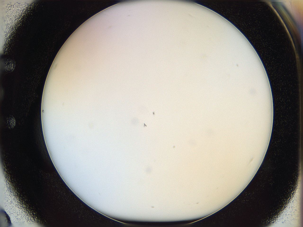 05x0_E3_ImagerDefaults_0.jpg