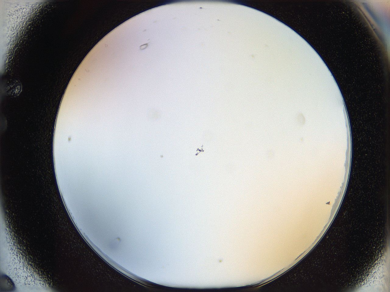 05x0_F6_ImagerDefaults_0.jpg