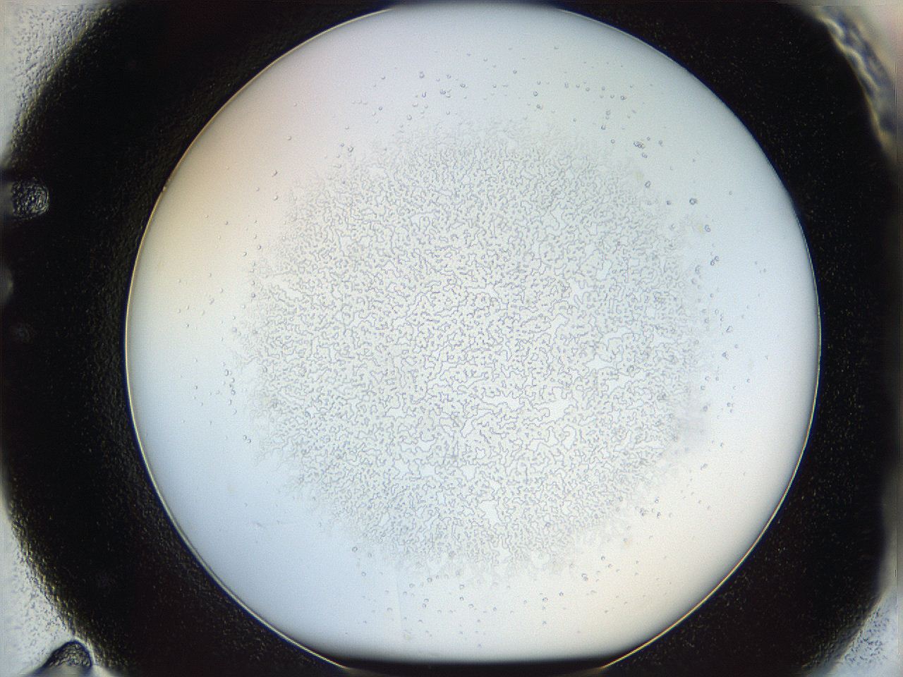 05x0_F11_ImagerDefaults_0.jpg