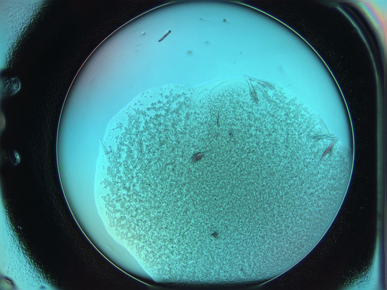 05x7_E8_ImagerDefaults_9.jpg