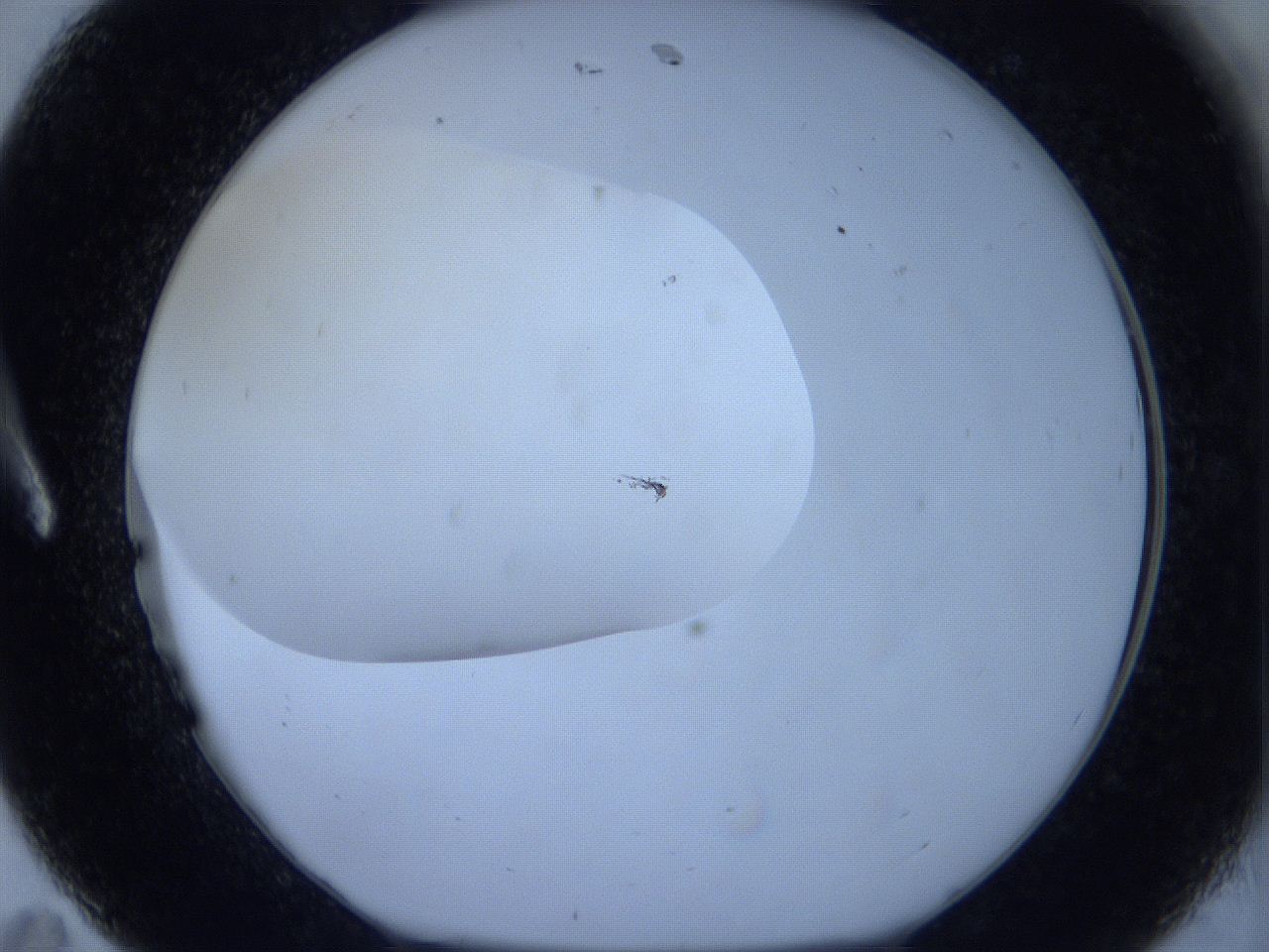 05xa_A11_ImagerDefaults_6.jpg