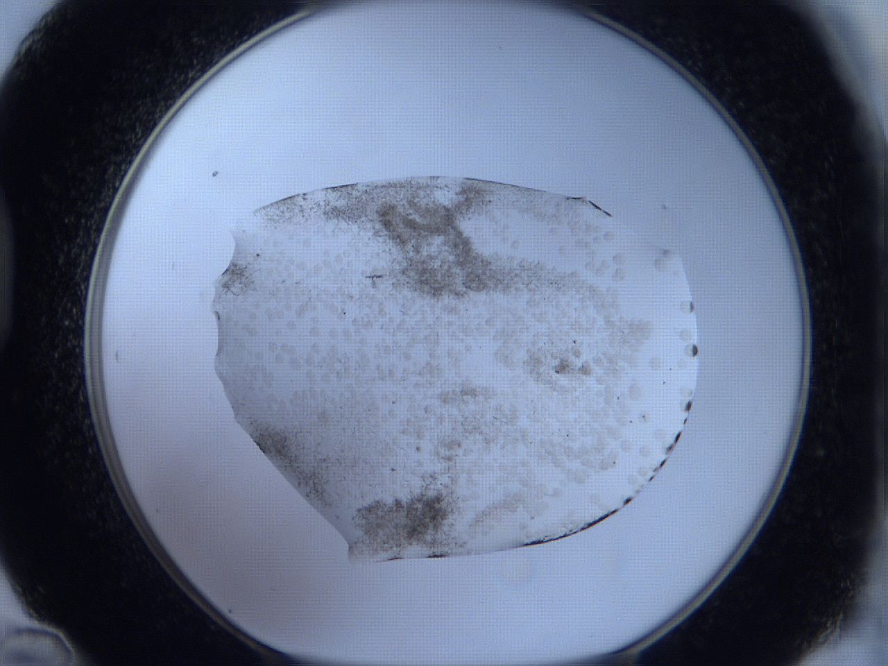 05xa_D12_ImagerDefaults_6.jpg