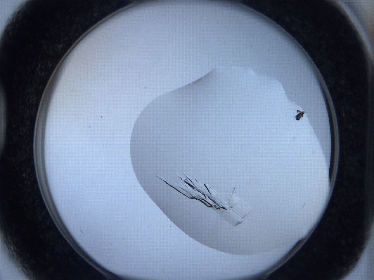 05xa_D5_ImagerDefaults_6.jpg