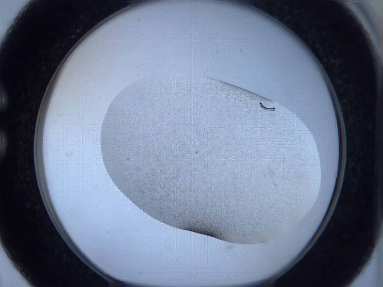 05xa_C5_ImagerDefaults_6.jpg