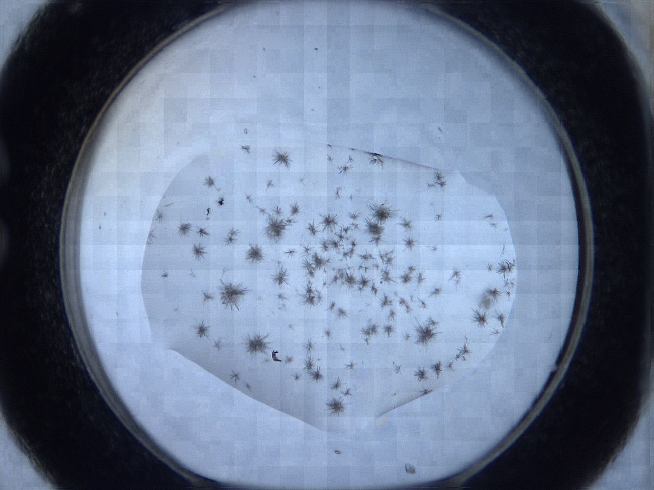 05xa_C8_ImagerDefaults_7.jpg