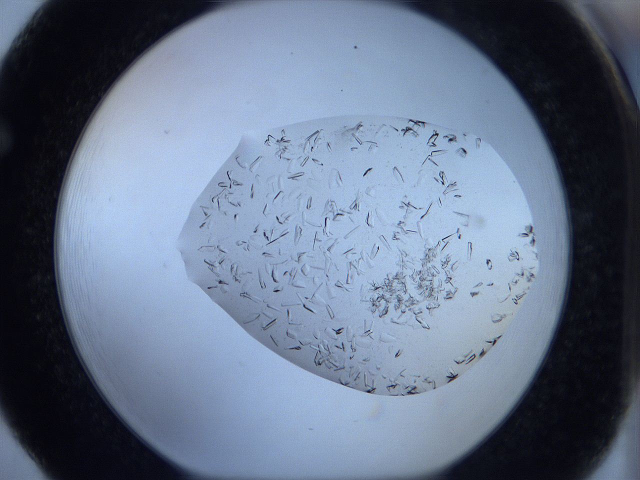 05xa_F5_ImagerDefaults_7.jpg