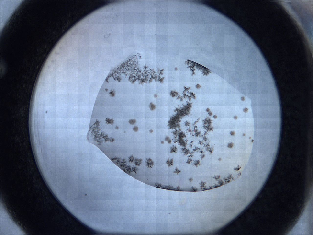 05xa_F6_ImagerDefaults_7.jpg
