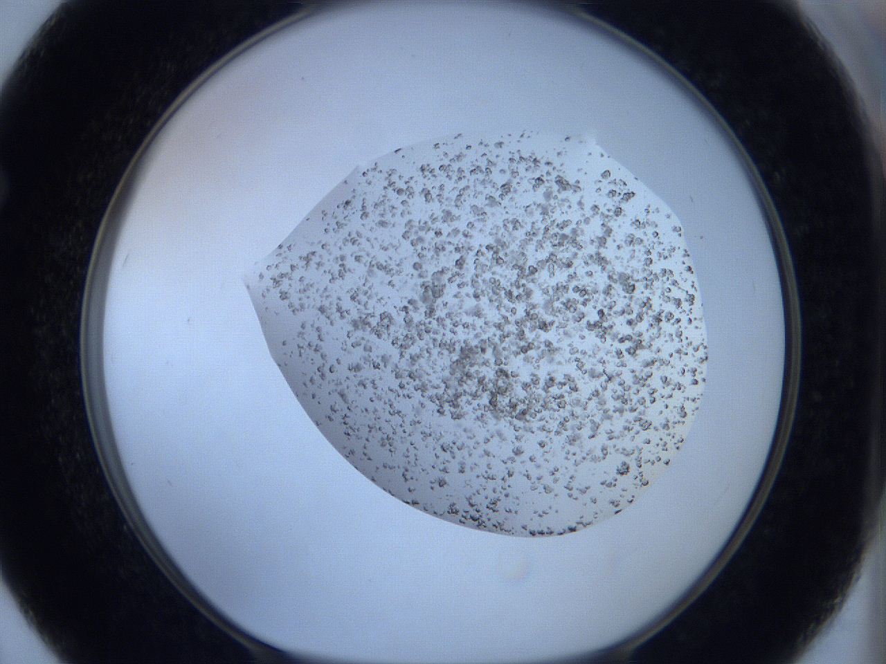 05xa_F7_ImagerDefaults_6.jpg