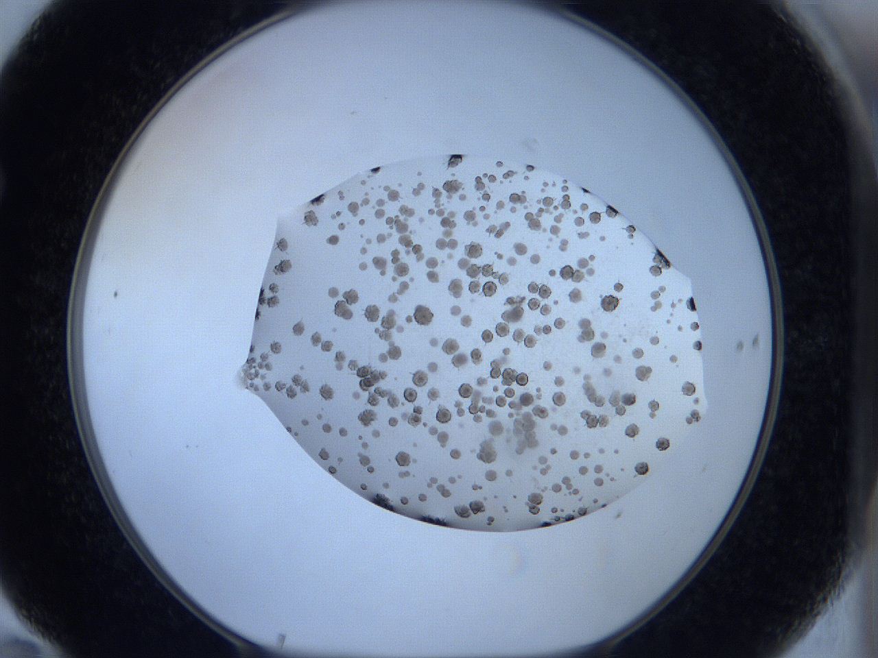 05xa_F10_ImagerDefaults_6.jpg