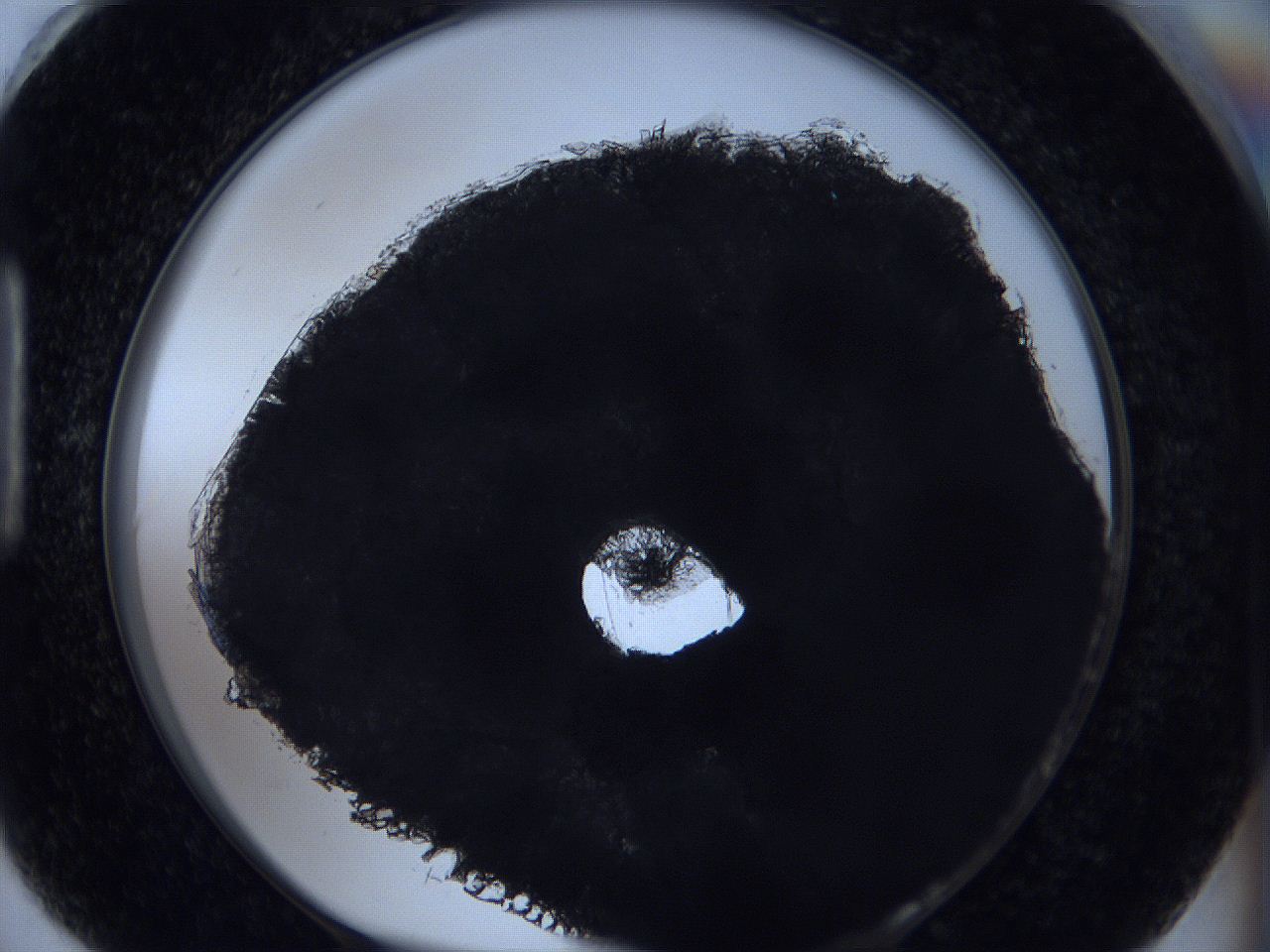 05xa_H6_ImagerDefaults_9.jpg