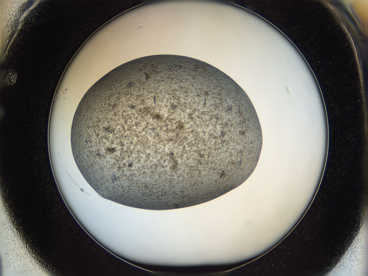 05xb_F1_ImagerDefaults_6.jpg