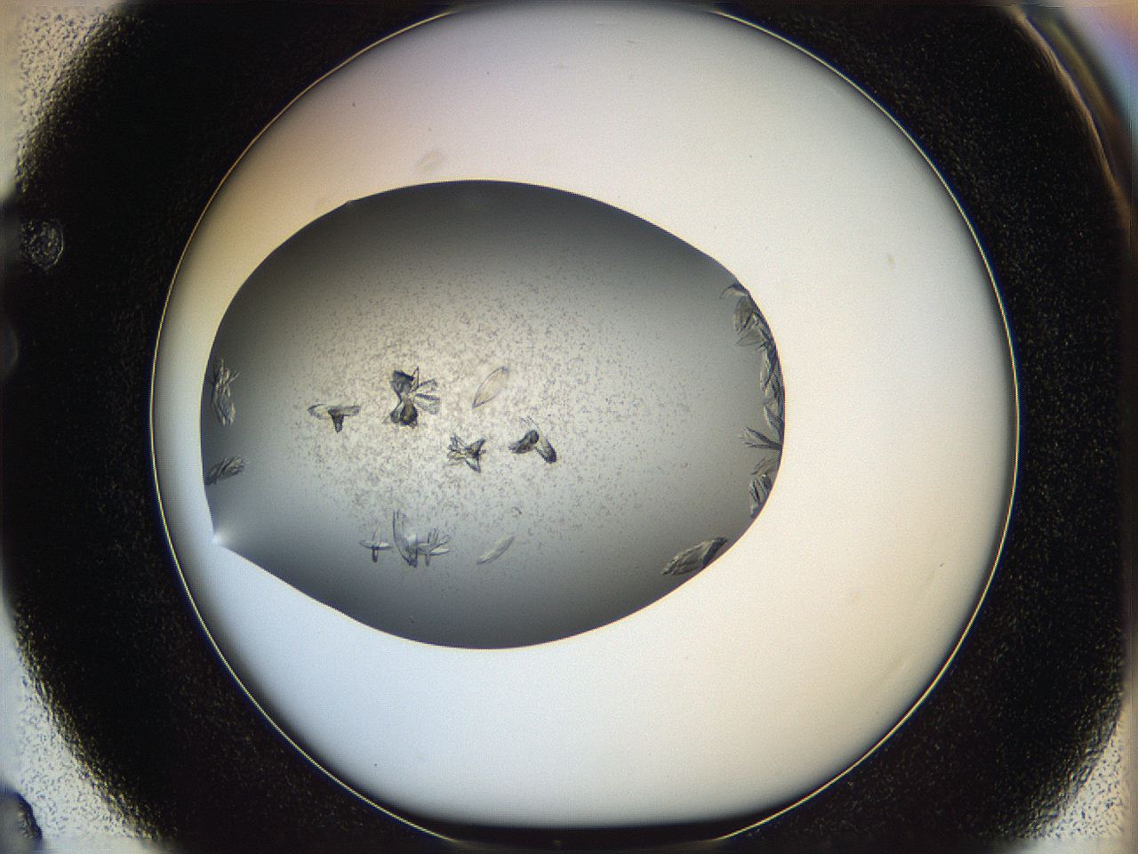 05xb_F3_ImagerDefaults_7.jpg