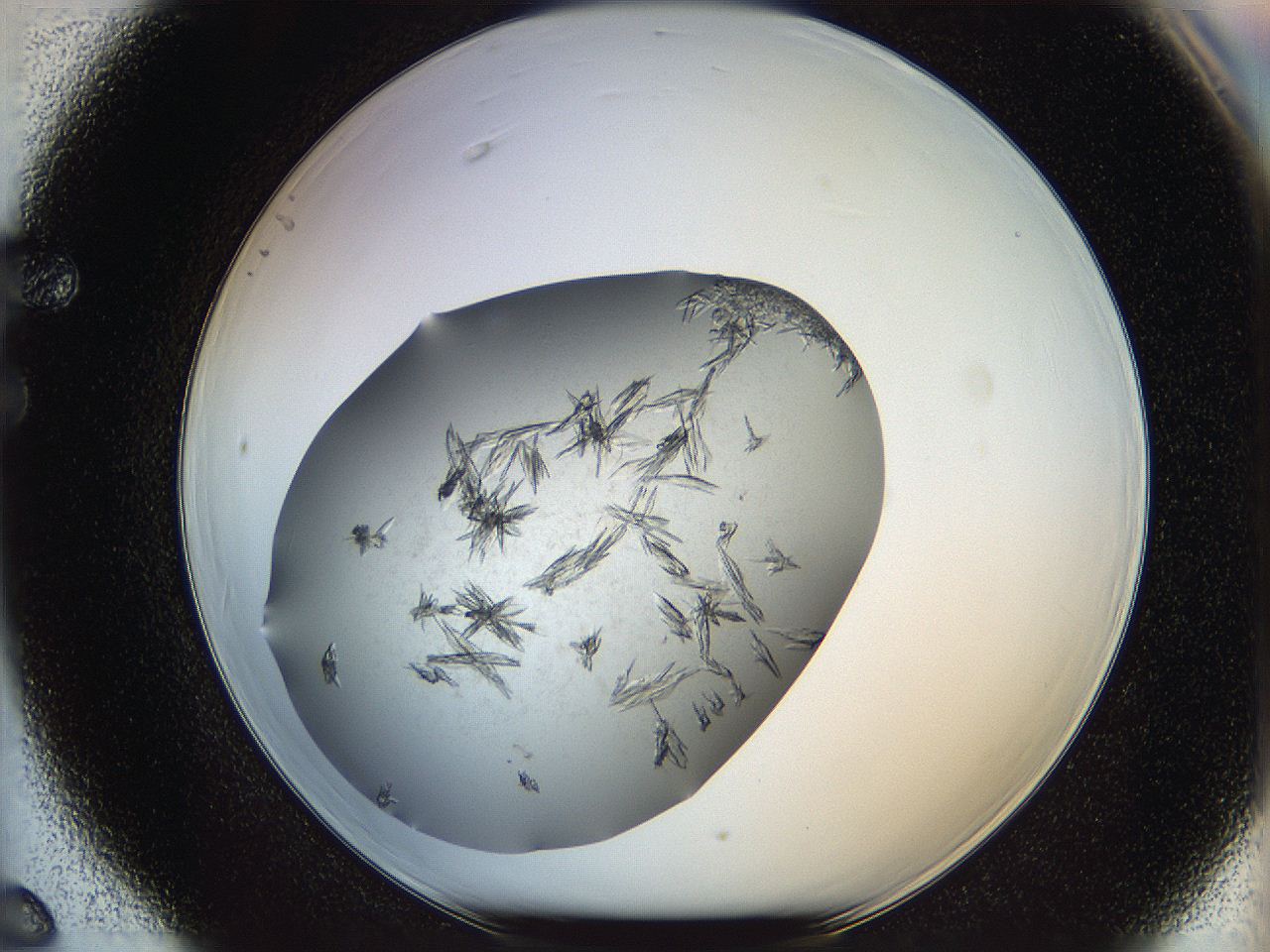 05xb_F6_ImagerDefaults_9.jpg