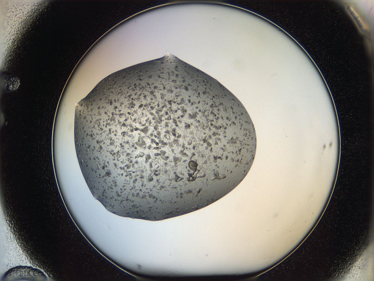 05xb_F10_ImagerDefaults_7.jpg