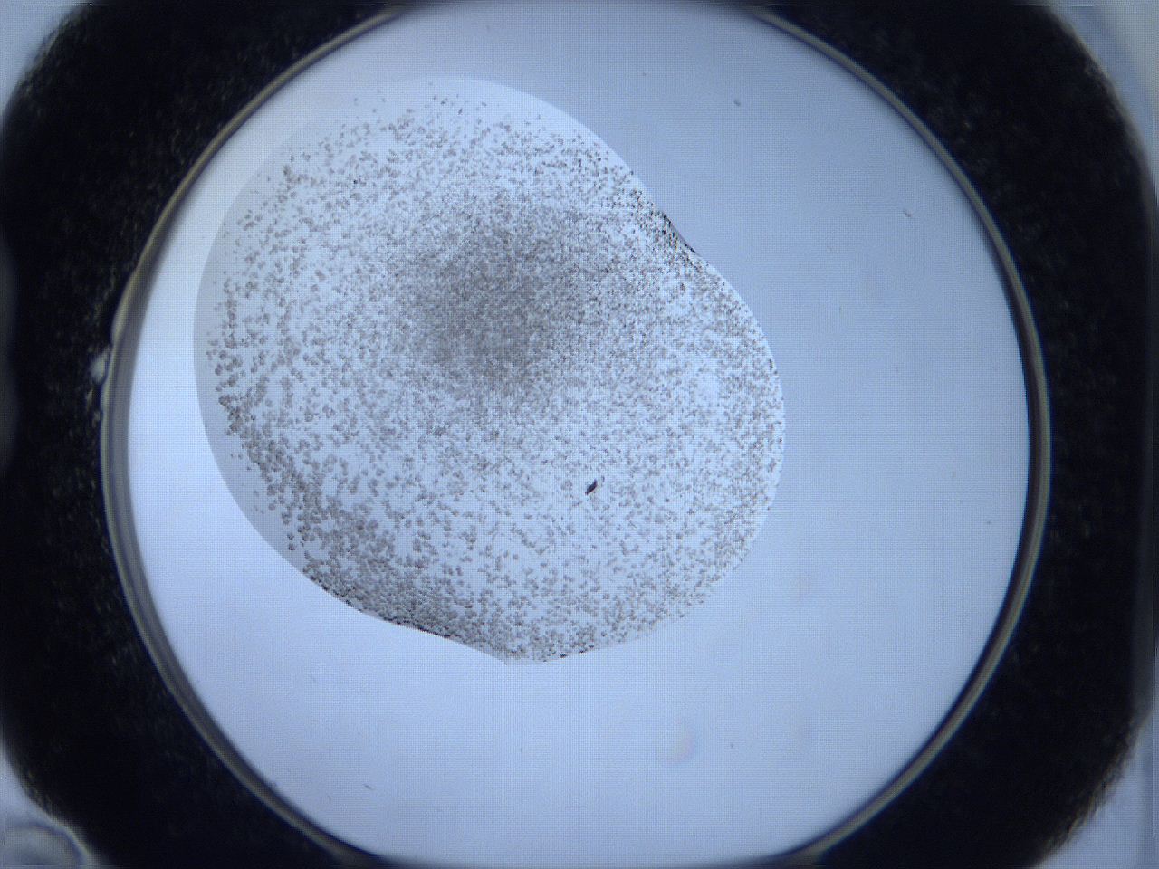 05xe_B10_ImagerDefaults_6.jpg