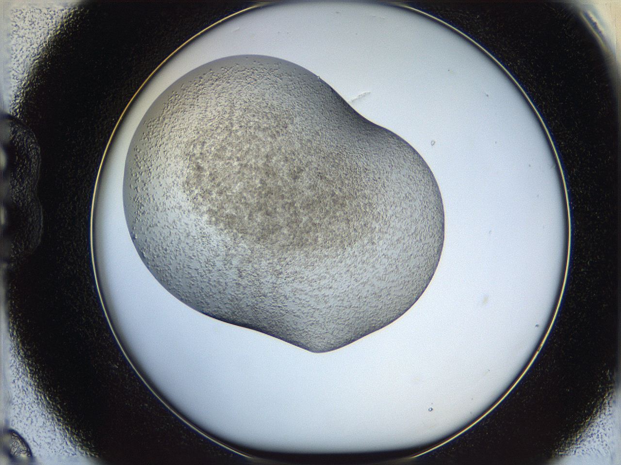 05xf_B9_ImagerDefaults_6.jpg