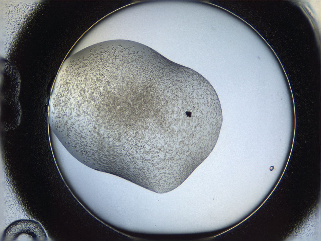 05xf_B10_ImagerDefaults_6.jpg