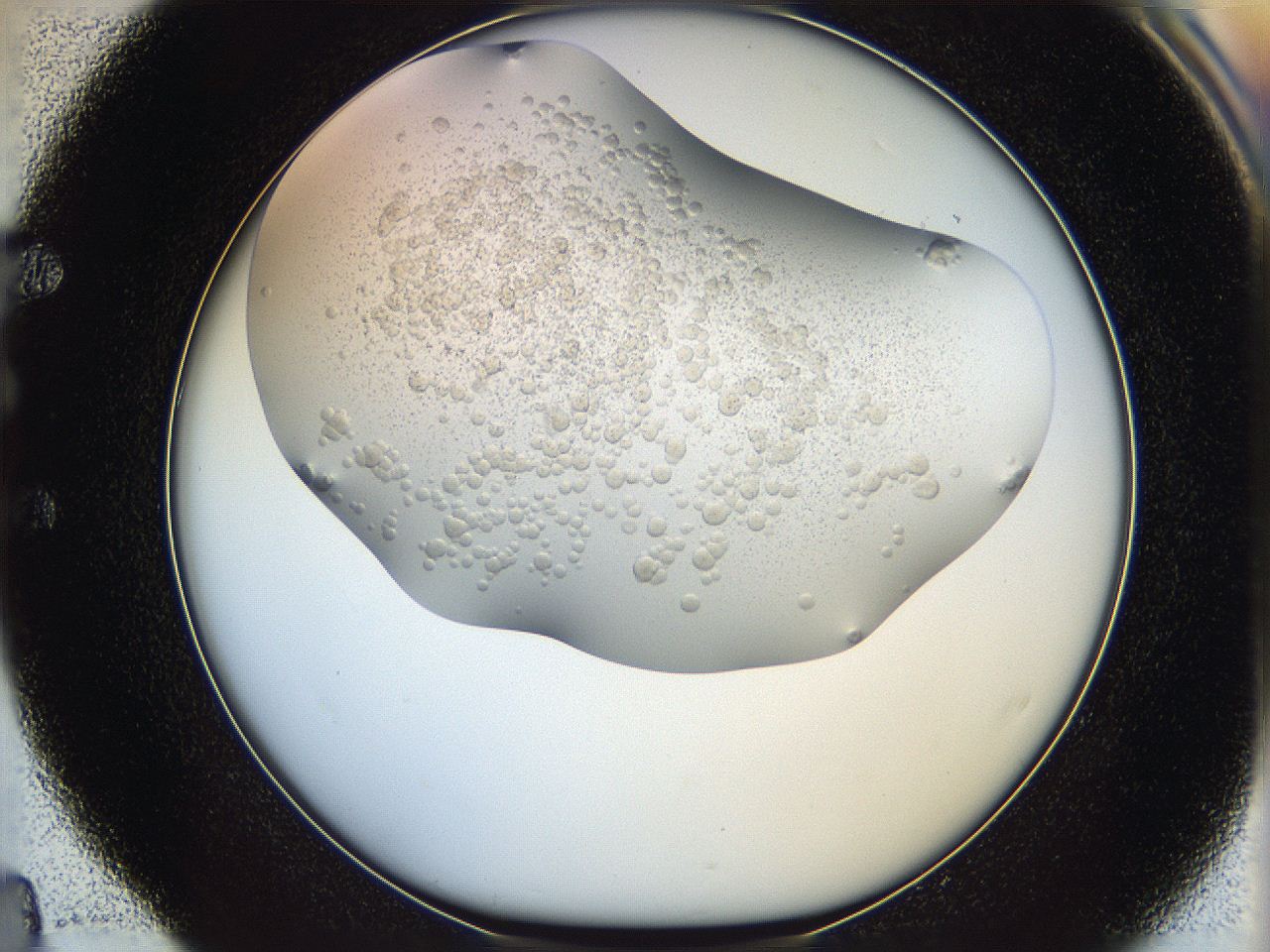 05xf_E4_ImagerDefaults_6.jpg
