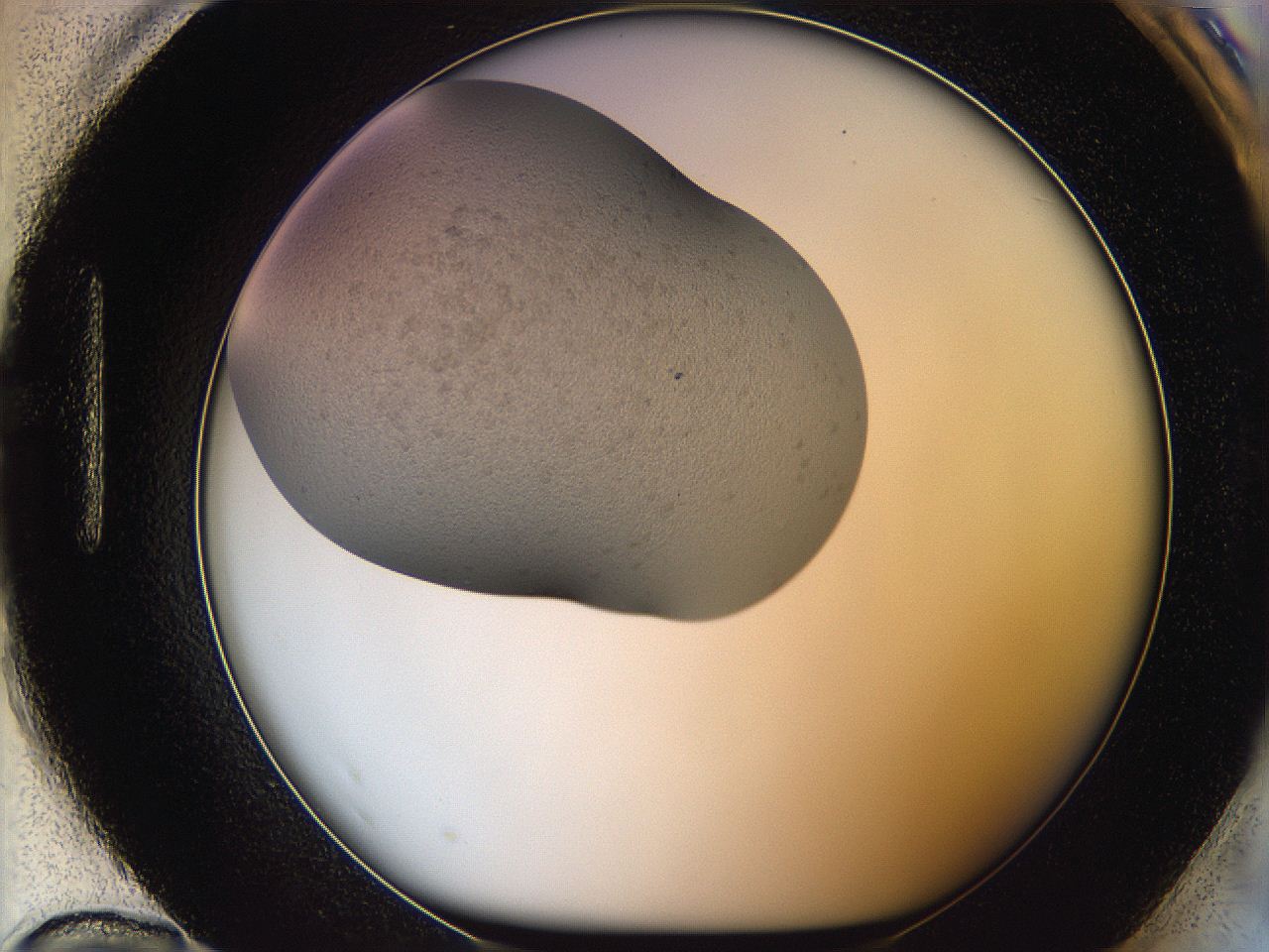 05xf_H12_ImagerDefaults_6.jpg