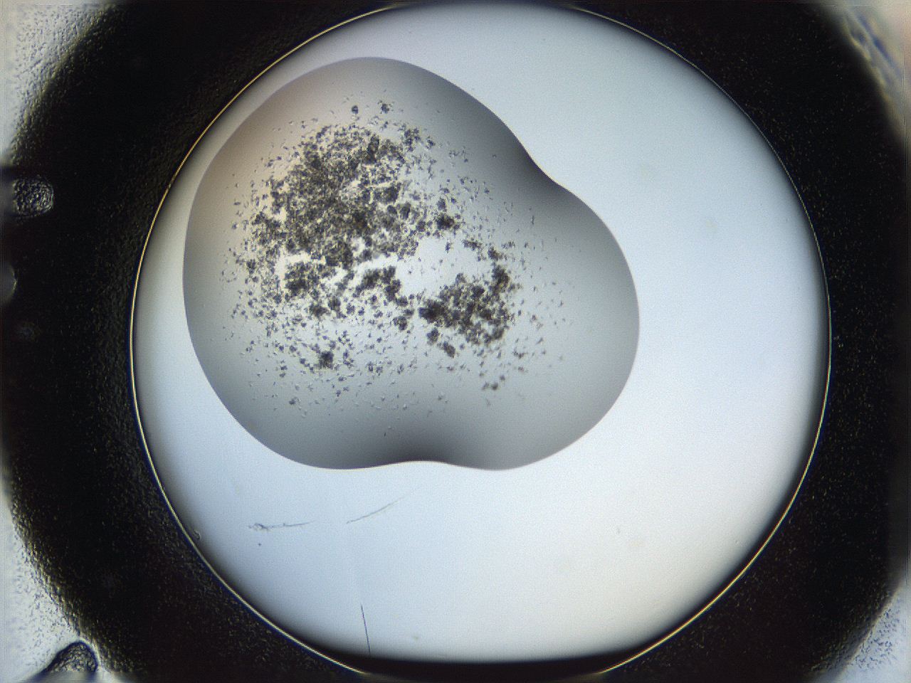 05xf_F11_ImagerDefaults_6.jpg