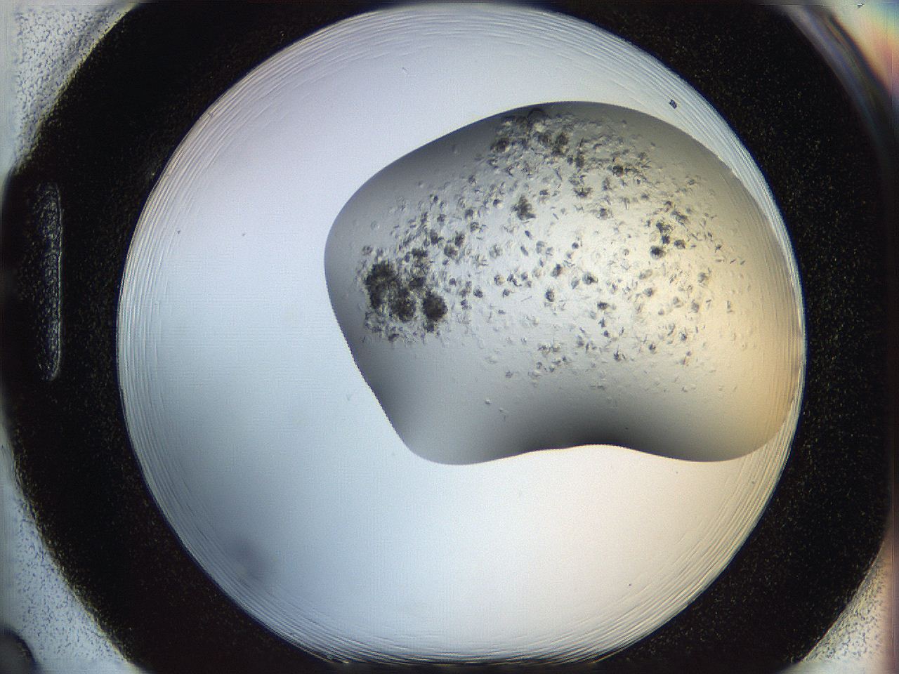 05xf_H2_ImagerDefaults_7.jpg