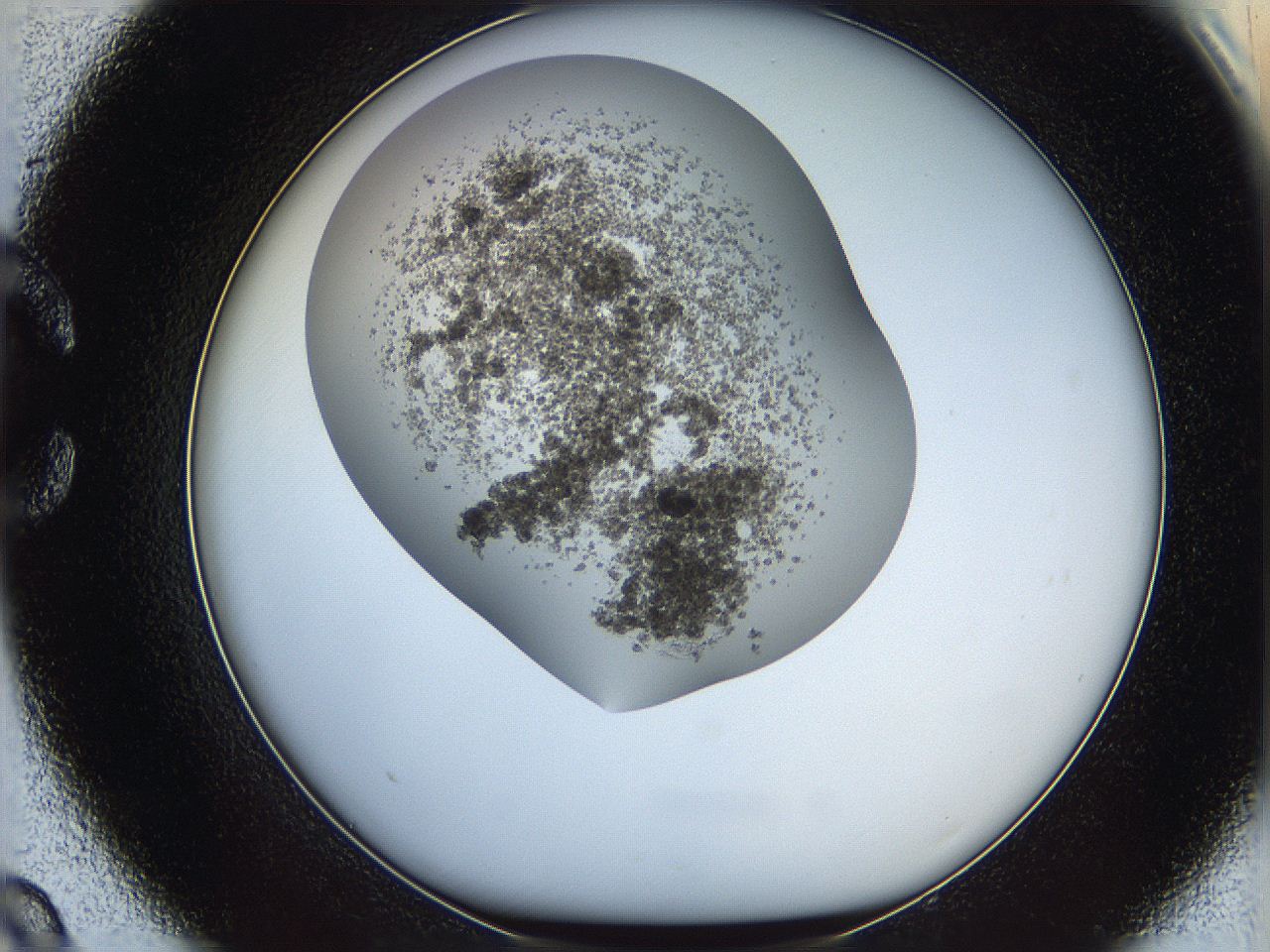 05xf_C9_ImagerDefaults_6.jpg