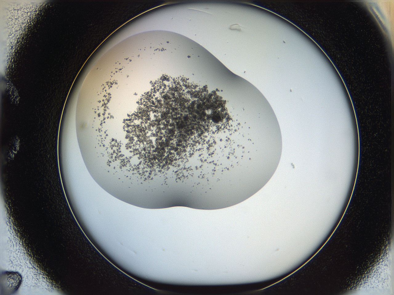 05xf_C7_ImagerDefaults_7.jpg