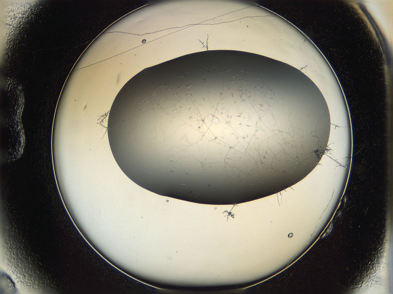 05xh_B2_ImagerDefaults_6.jpg