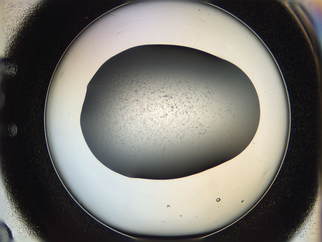 05xh_E3_ImagerDefaults_6.jpg