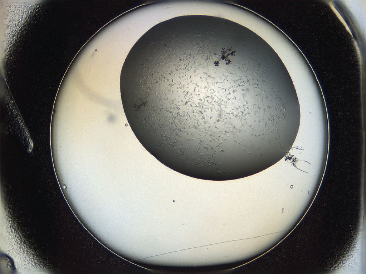 05xh_A3_ImagerDefaults_7.jpg