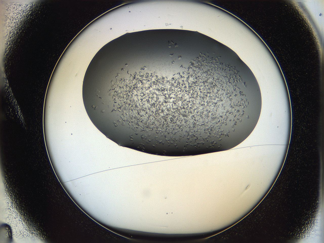 05xh_A4_ImagerDefaults_7.jpg