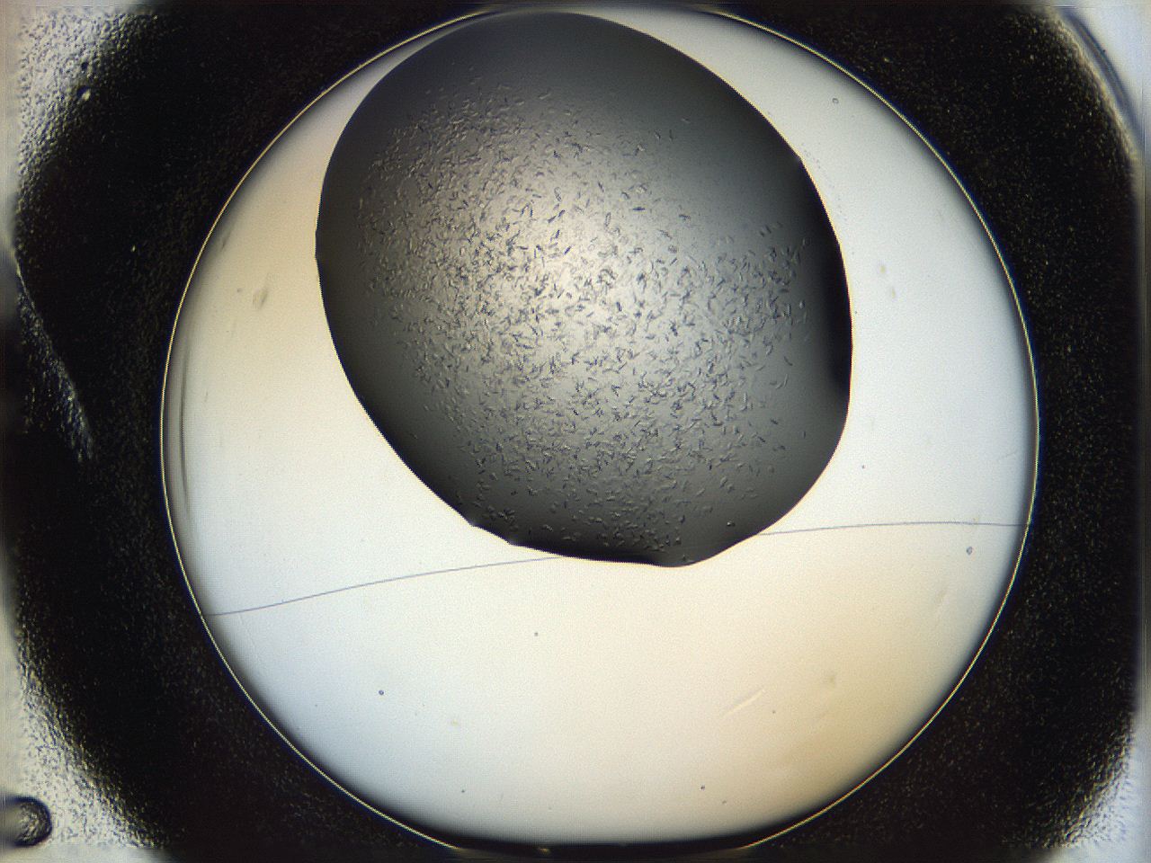 05xh_A5_ImagerDefaults_7.jpg