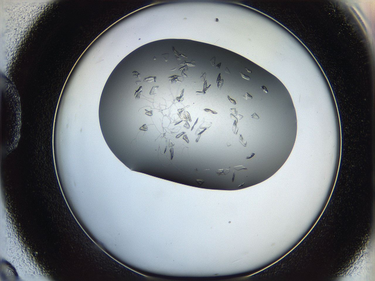 05xh_D9_ImagerDefaults_7.jpg