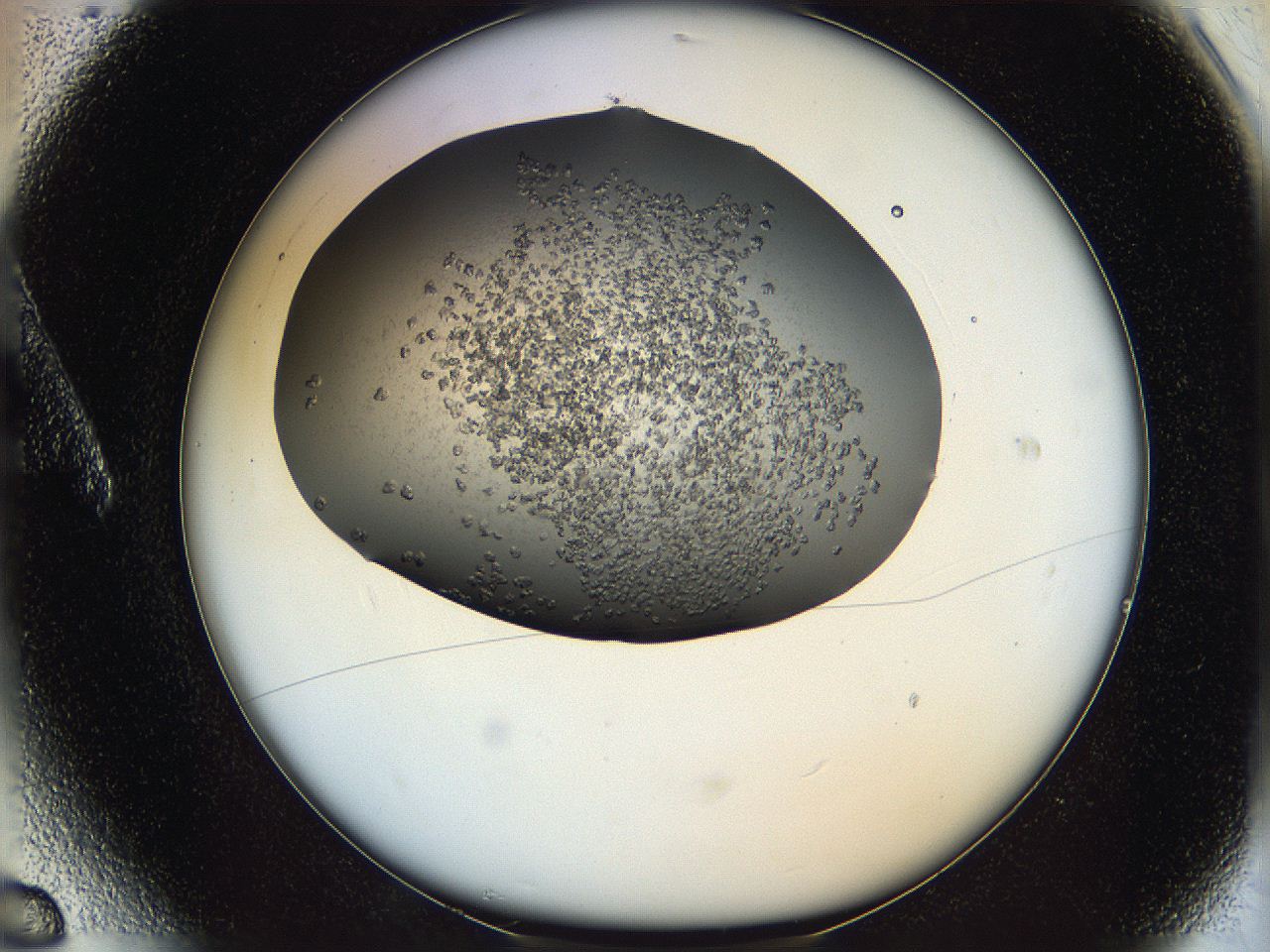 05xh_A6_ImagerDefaults_6.jpg