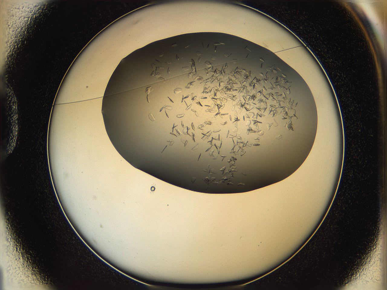05xh_D1_ImagerDefaults_8.jpg