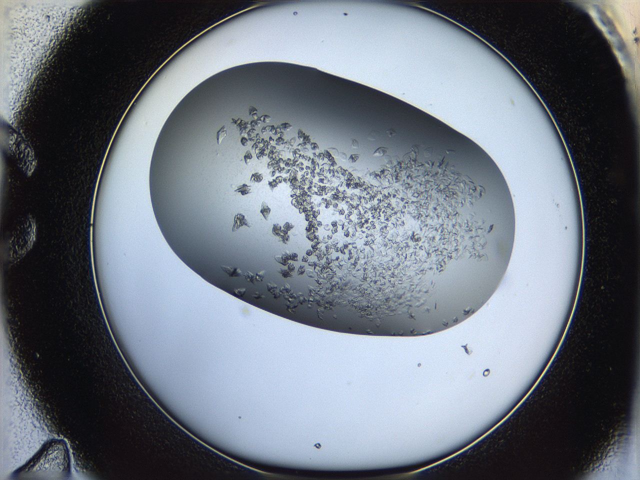 05xh_C11_ImagerDefaults_7.jpg