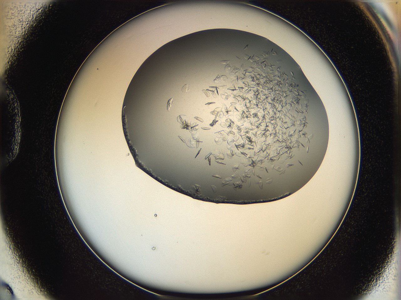 05xh_D2_ImagerDefaults_8.jpg