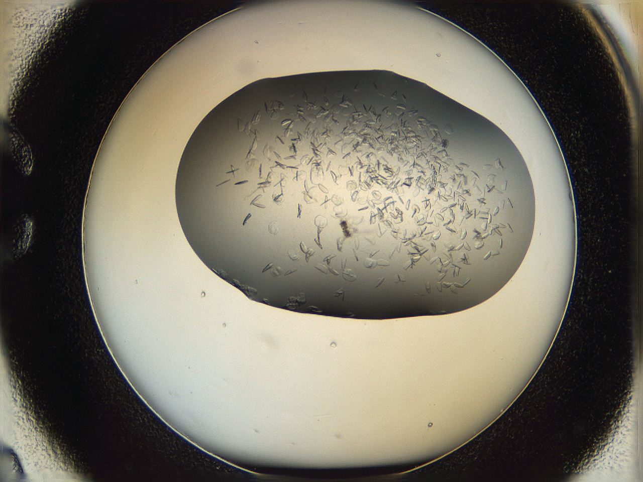 05xh_C2_ImagerDefaults_7.jpg