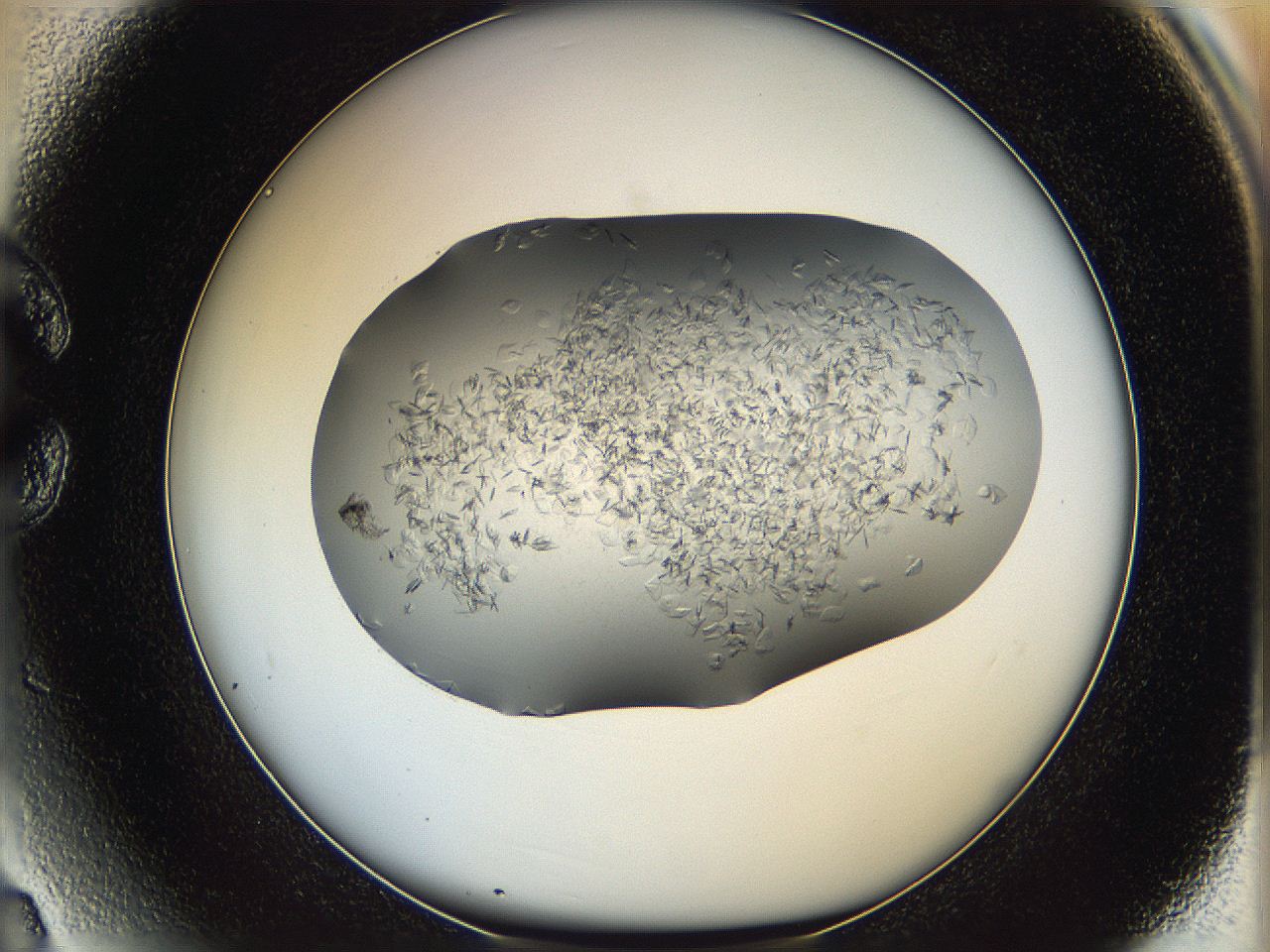 05xh_C3_ImagerDefaults_6.jpg