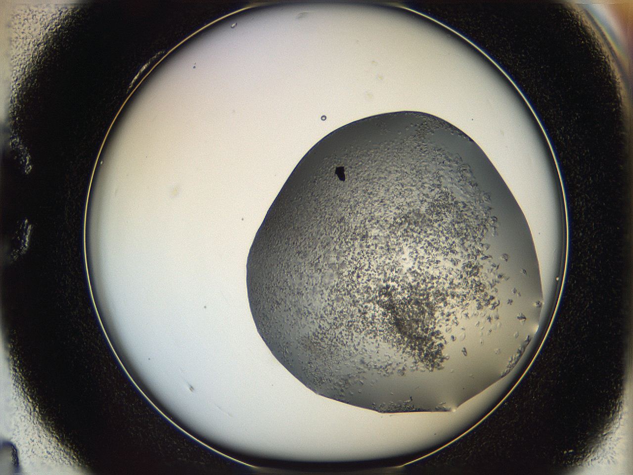 05xh_C4_ImagerDefaults_6.jpg