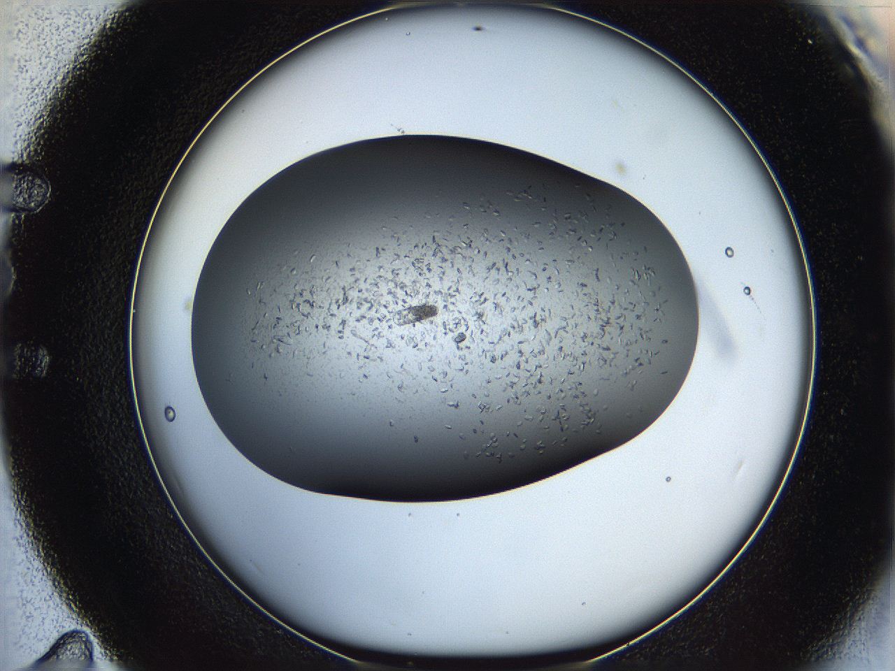 05xh_E11_ImagerDefaults_7.jpg