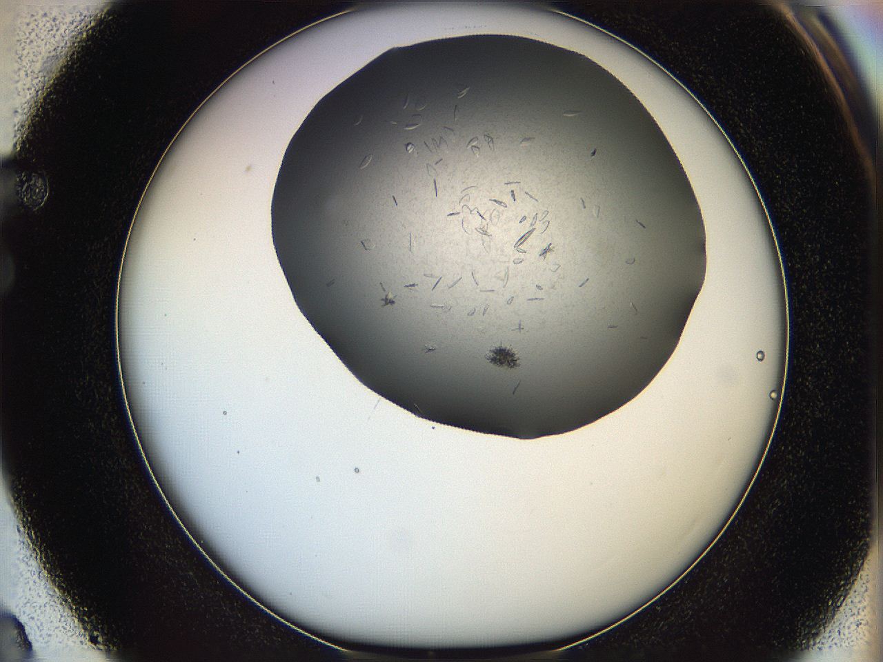 05xh_F3_ImagerDefaults_6.jpg