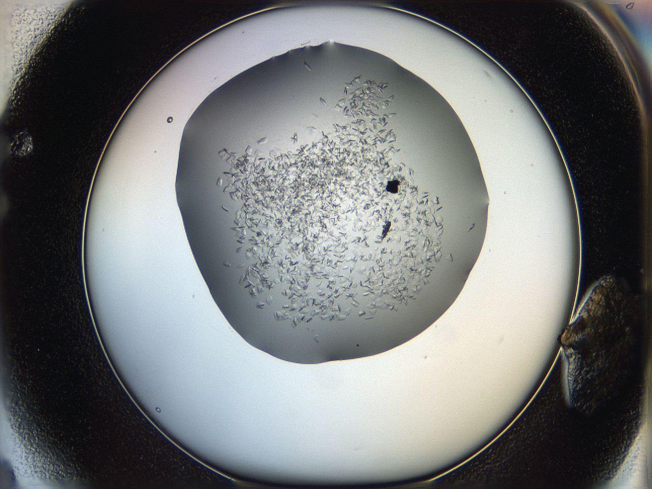 05xh_F4_ImagerDefaults_7.jpg