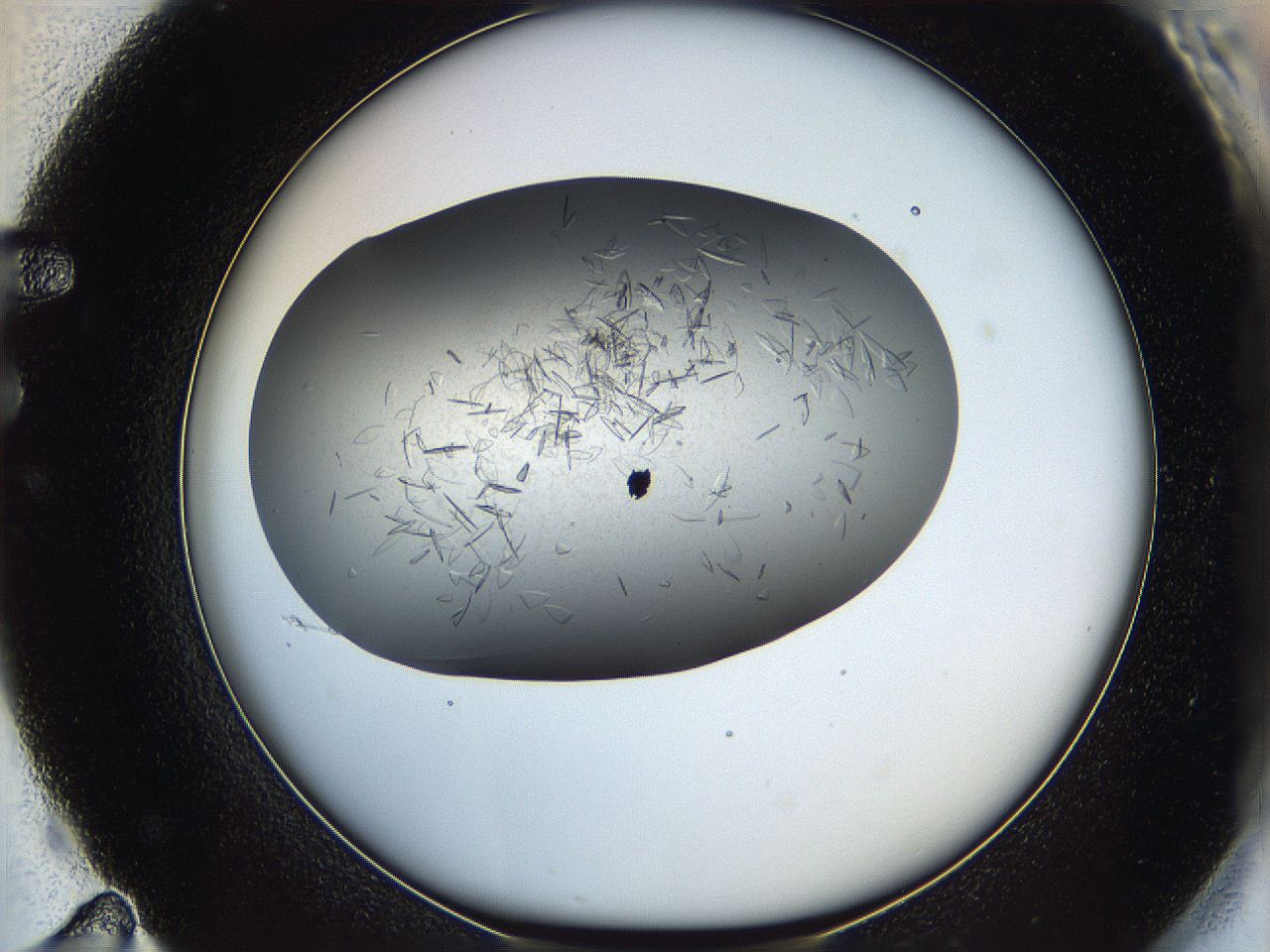 05xh_F11_ImagerDefaults_6.jpg