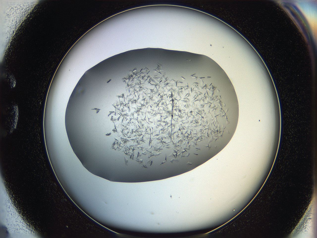 05xh_G4_ImagerDefaults_7.jpg