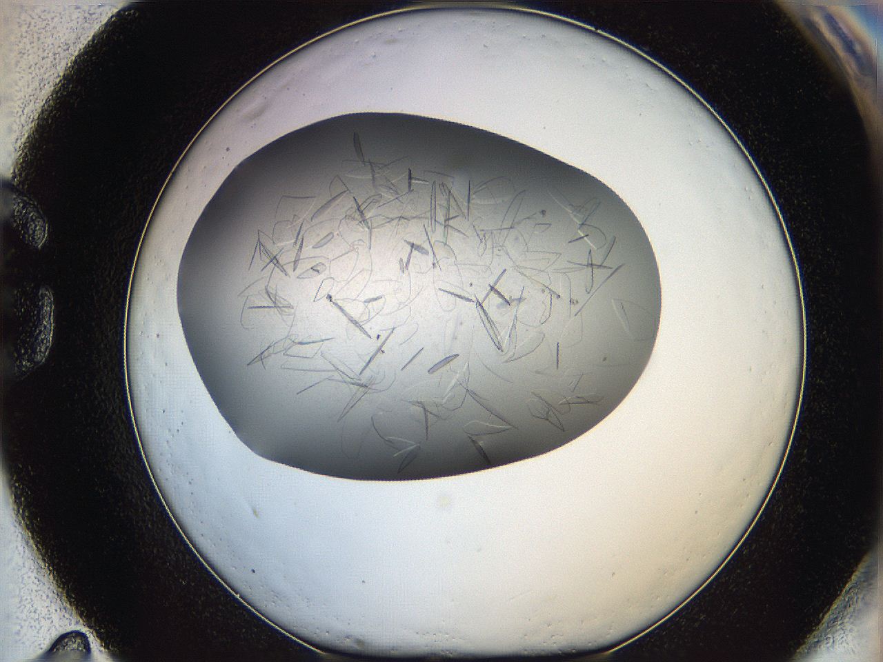 05xh_G11_ImagerDefaults_8.jpg