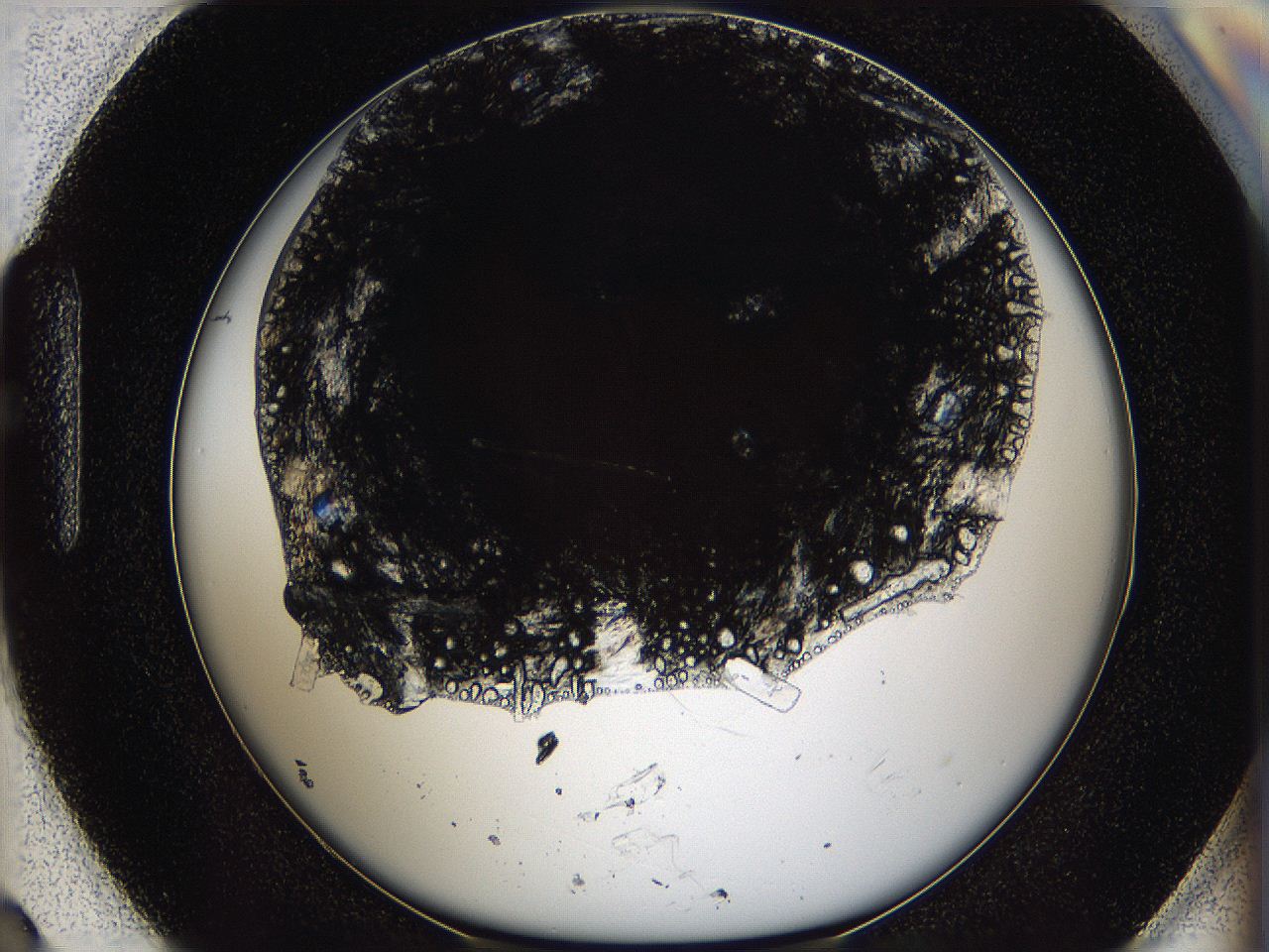 05xh_H3_ImagerDefaults_9.jpg