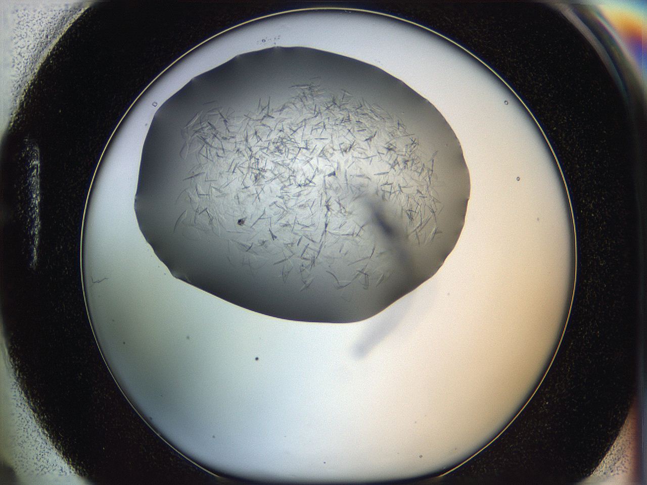 05xh_H4_ImagerDefaults_7.jpg