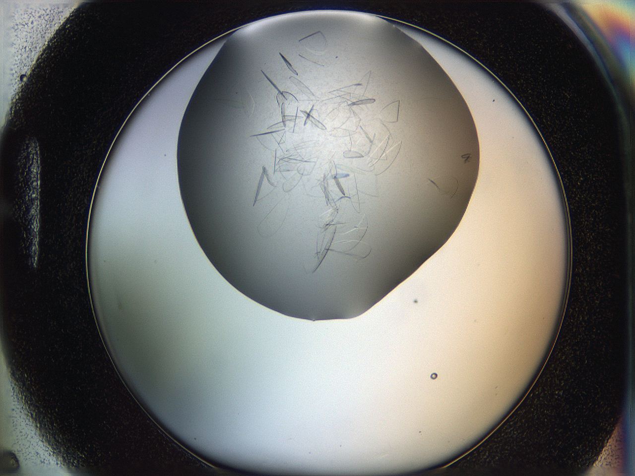 05xh_H5_ImagerDefaults_9.jpg