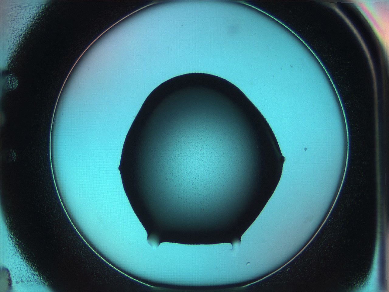 05xq_E4_ImagerDefaults_0.jpg
